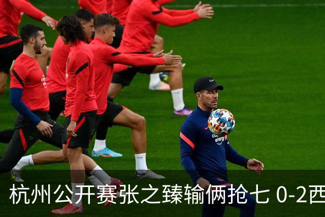 杭州公开赛张之臻输俩抢七 0-2西里奇收获亚军